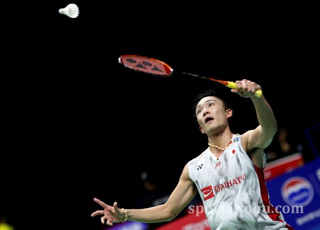 开放探索 开放探索